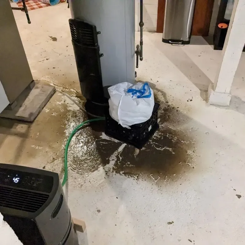 Sewage Backup Cleanup Service in Headland, AL